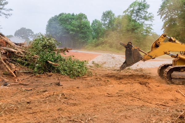 Forestry Mulching Service in Lawrence