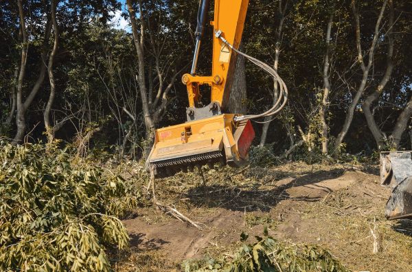 Brush Removal Service in Lawrence
