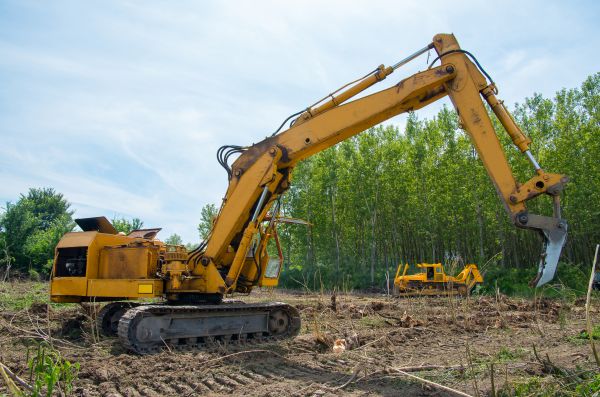 Farm Clearing in Lawrence