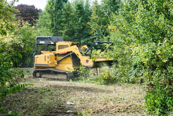 Pathway Clearing in Lawrence