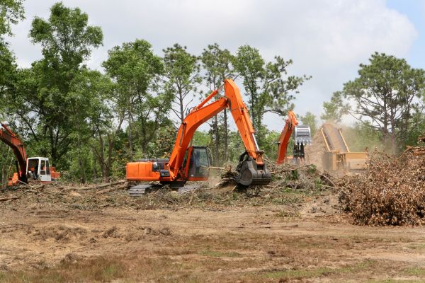 Commercial Lot Clearing in Lawrence
