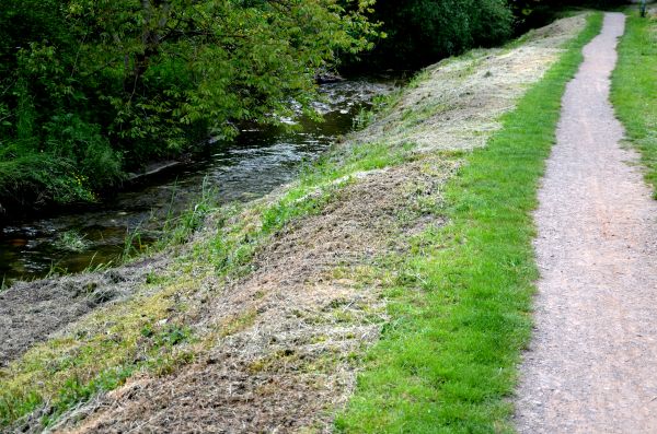 Trail Cutting in Lawrence