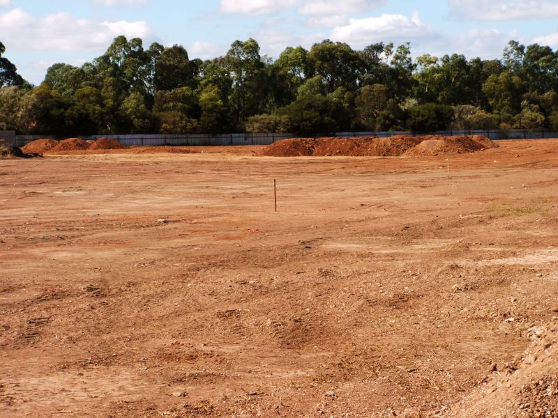 Overgrown Land Before Clearing
